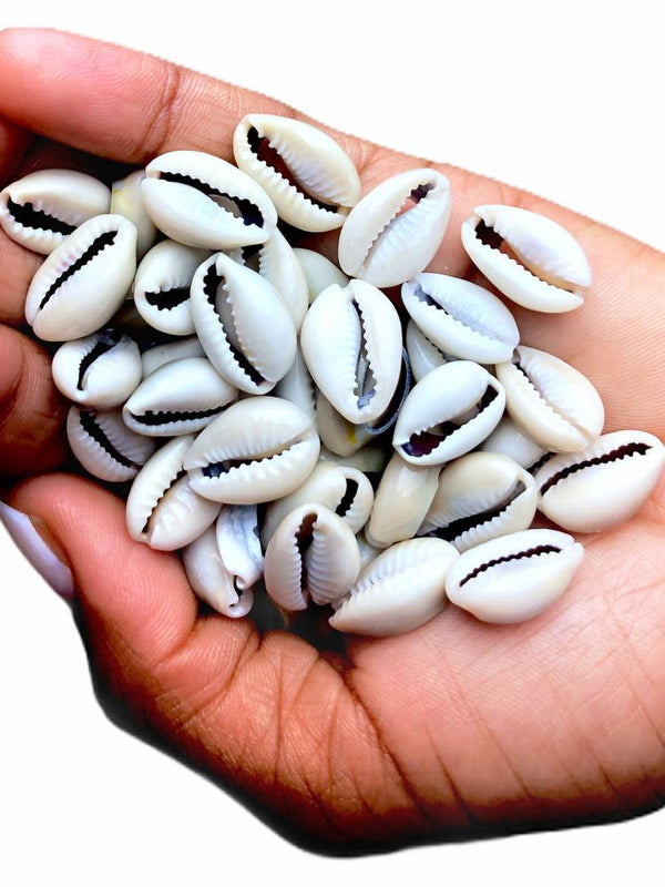 Cowry