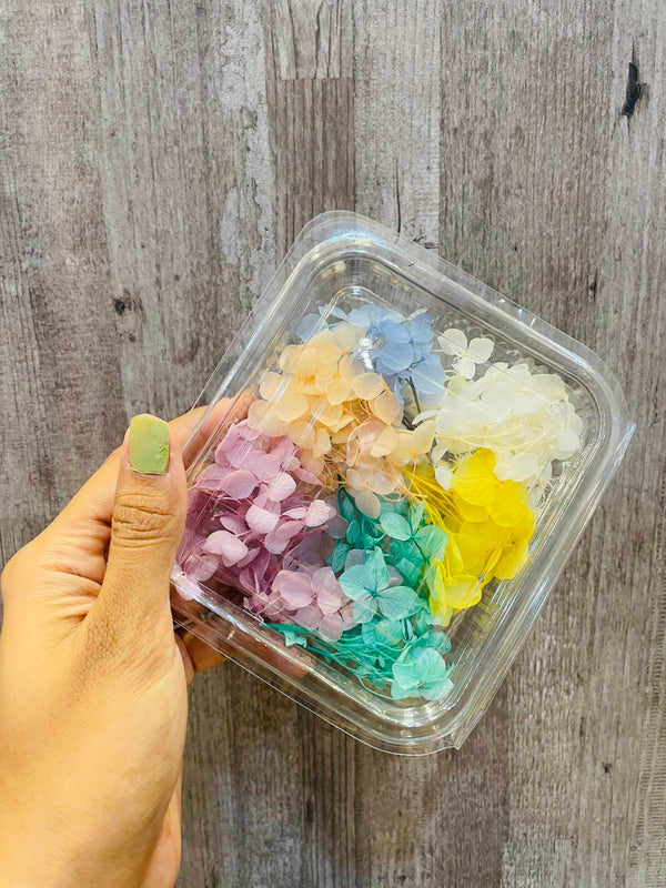 DryFlower-Hydrangeas Multi