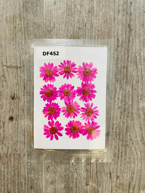 Pressed Dry Flower Sheets - Pink [Pack of 12 Daisies]