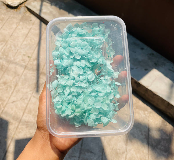 DryFlower-Hydrangeas Mint Blue