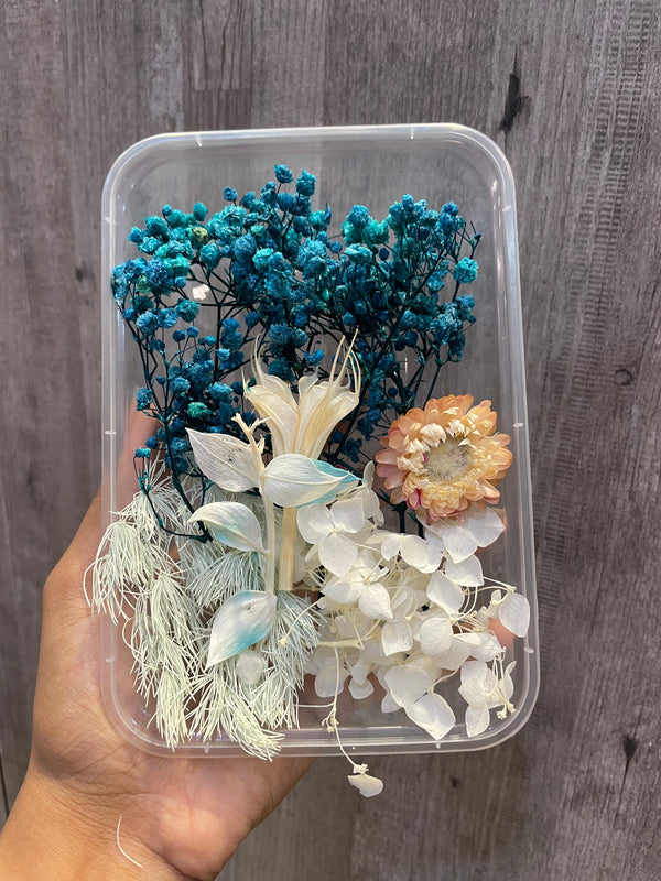 Dry Flower Box : Blue Blossom