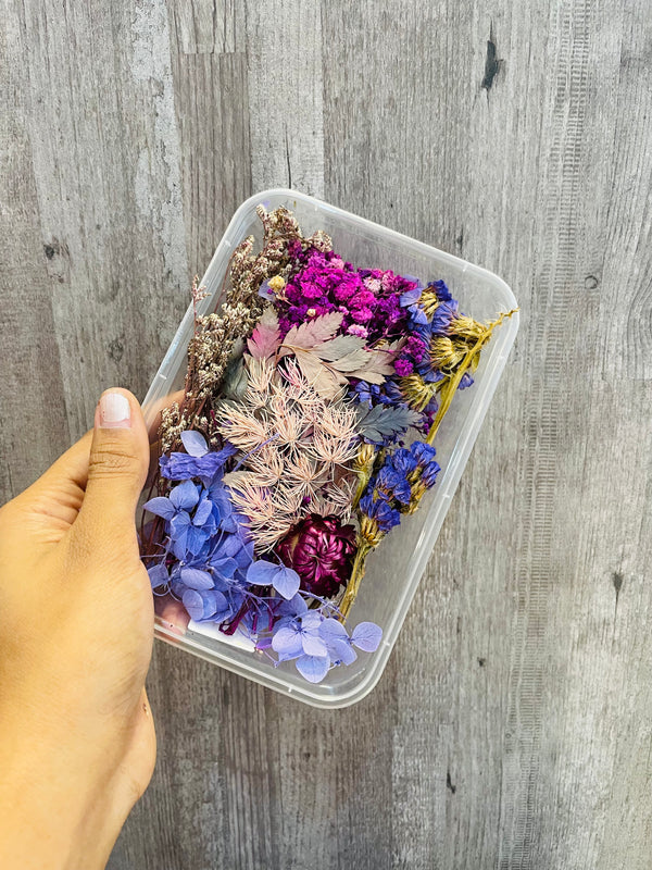 Dry Flower Box : Violet Blossom