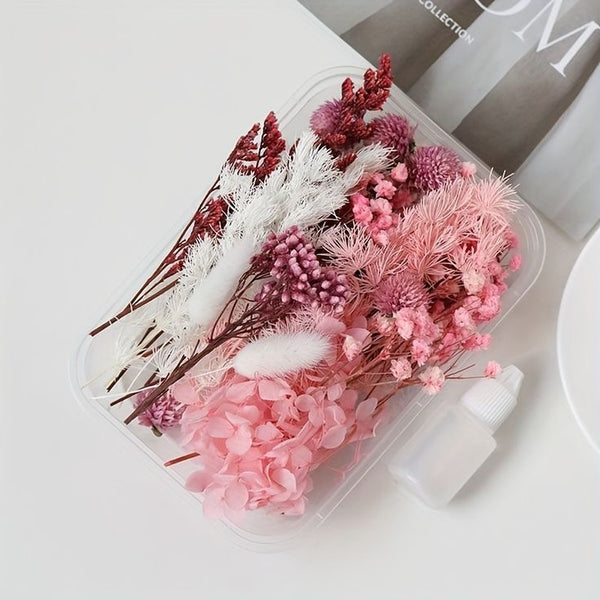 Dry Flower Box : Pink Blossom