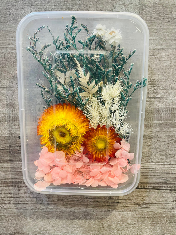 Dry Flower Box : Forest