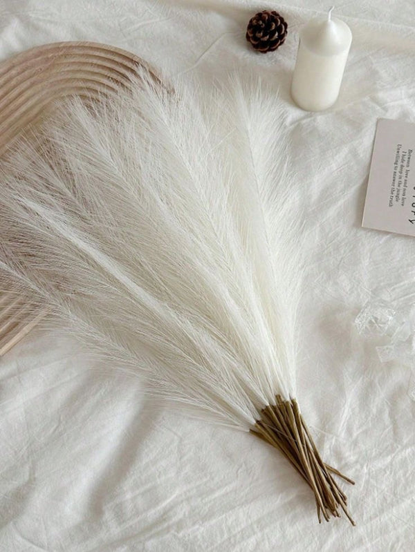 Dried Pampas Grass [Pack of 5 Sticks]