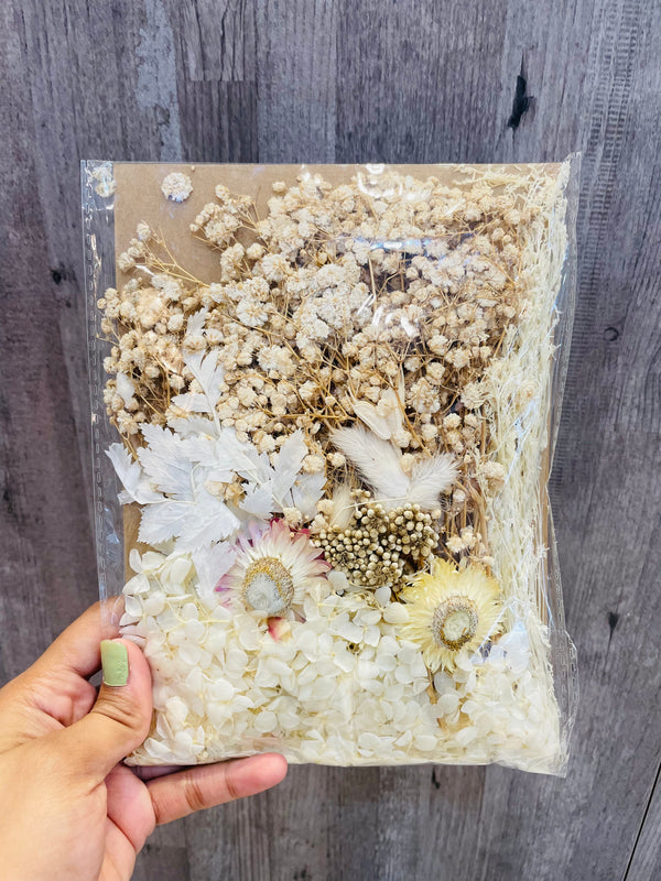 Premium Dry Flower Blossom : White