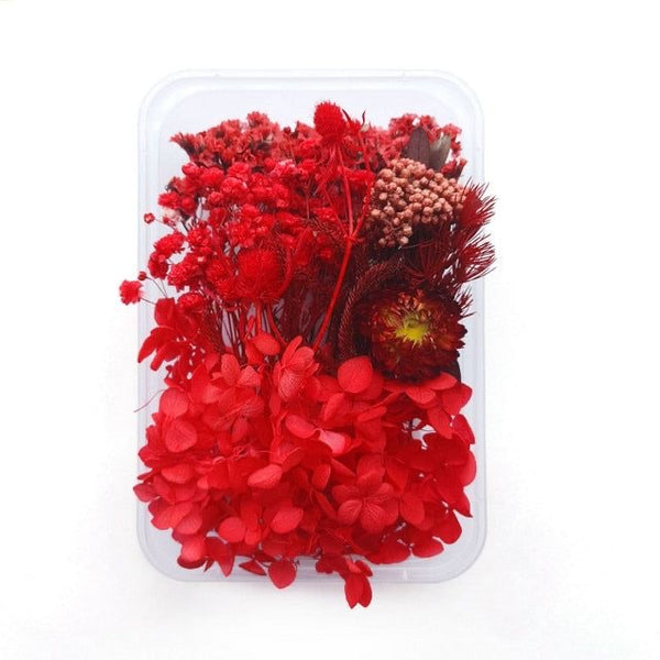 Dry Flower Box : Red Cherry Blossom