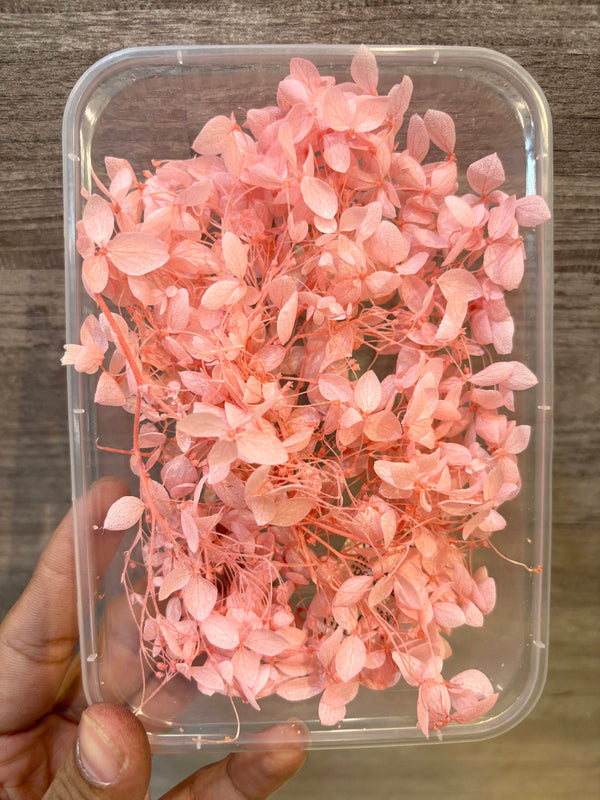 DryFlower-Hydrangeas Peach