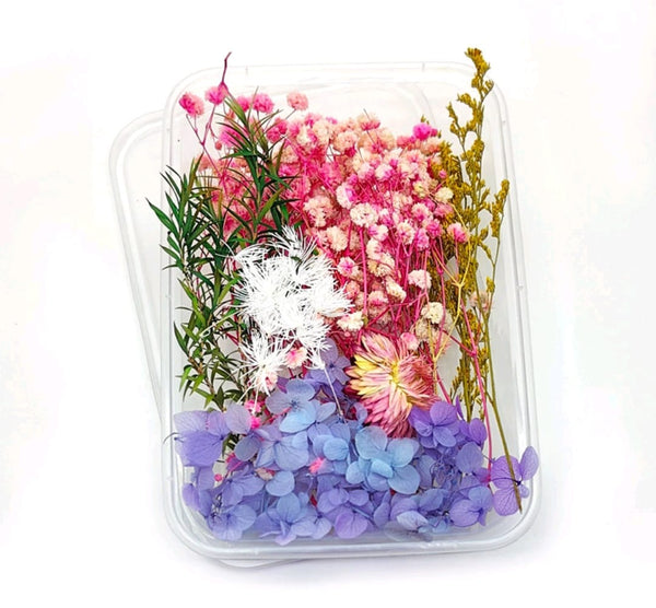 Dry Flower Box - Rainbow Blossom