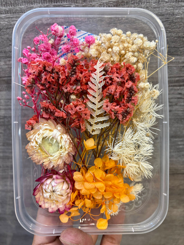 Dry Flower Box : Serene