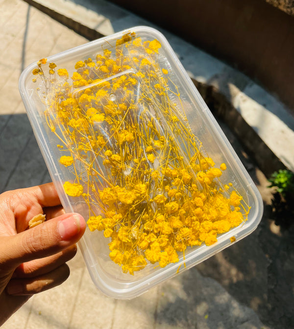 Dried Gypsy Flower Box : Yellow
