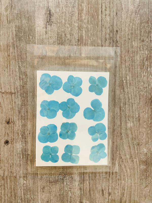 Pressed Flower Sheet : Sky Blue