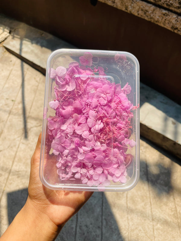 DryFlower-Hydrangeas Lavender