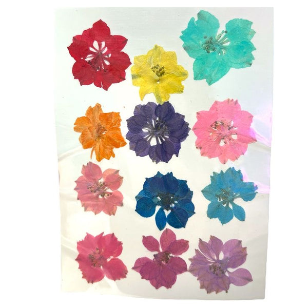 Multi Cherry Blossom Pressed Dry Flower Sheet [Pack of 12]