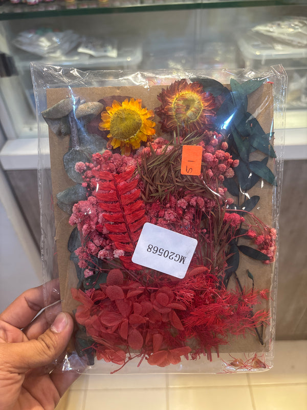 Premium Dry Flower Red Blossom
