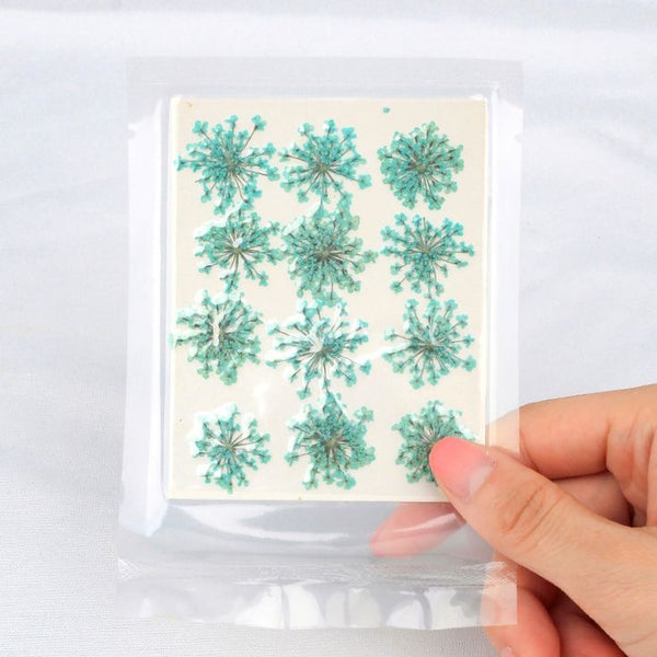 Pressed Flower Sheet : Mint Blue