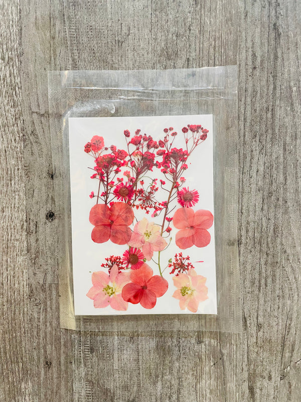 Pressed Dry Flower Sheet : Hot Pink