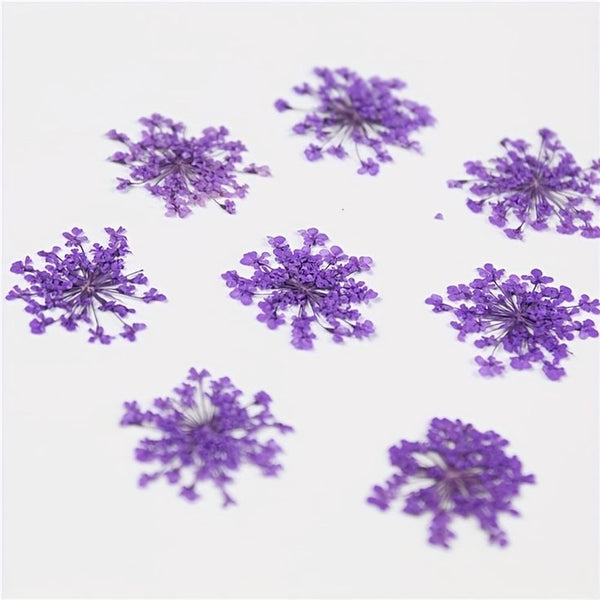 Pressed Flower Sheet : Lavender Purple