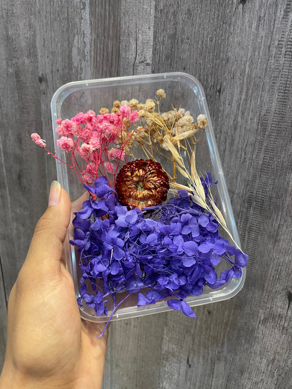 Dry Flower Box : Multi