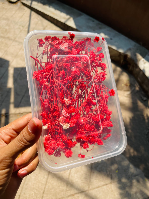 Dried Gypsy Flower Box : Red