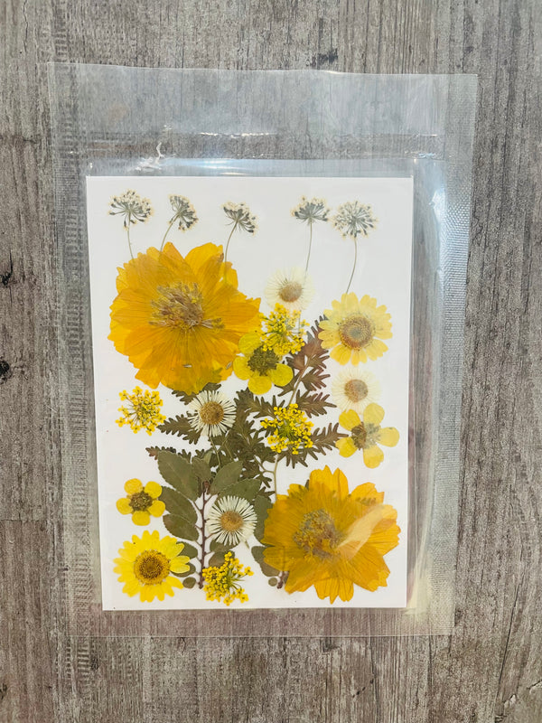 Pressed Flower Sheet - Sunset