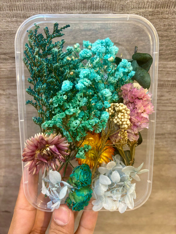 Dry Flower Box : Aqua Blue