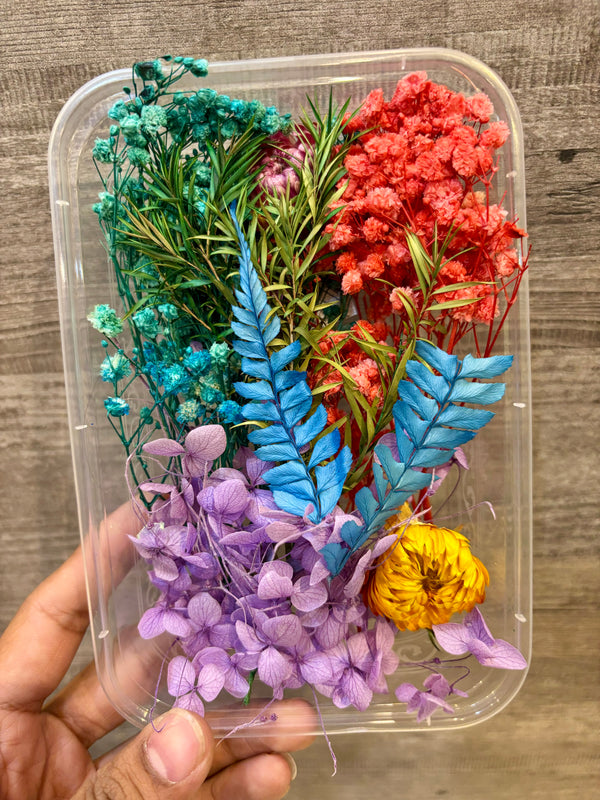 Dry Flower Box : Multi