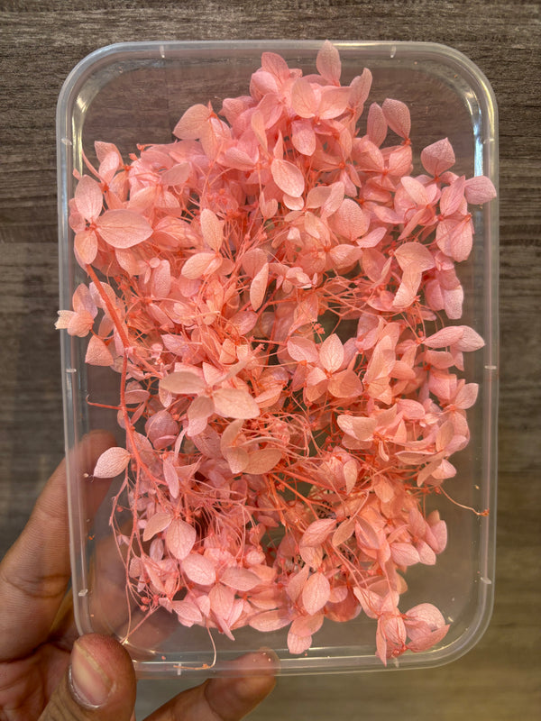 DryFlower-Hydrangeas Pink