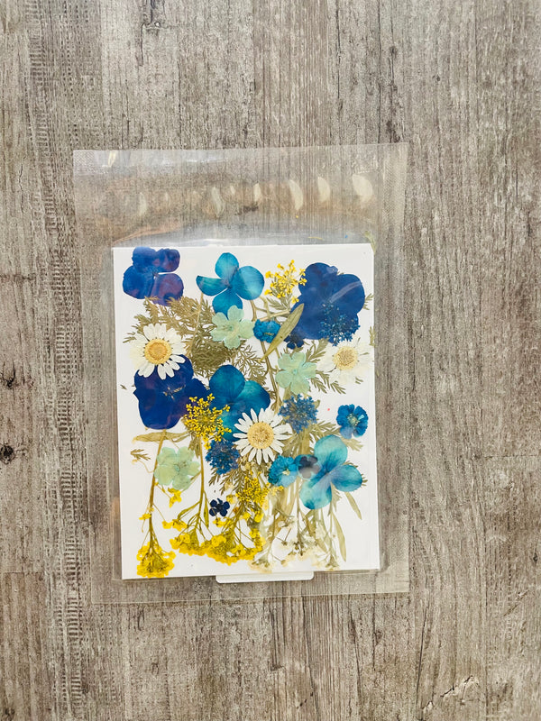 Pressed Dry Flower Sheets : Blue Blossom