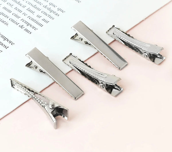 Silver Hair Clips