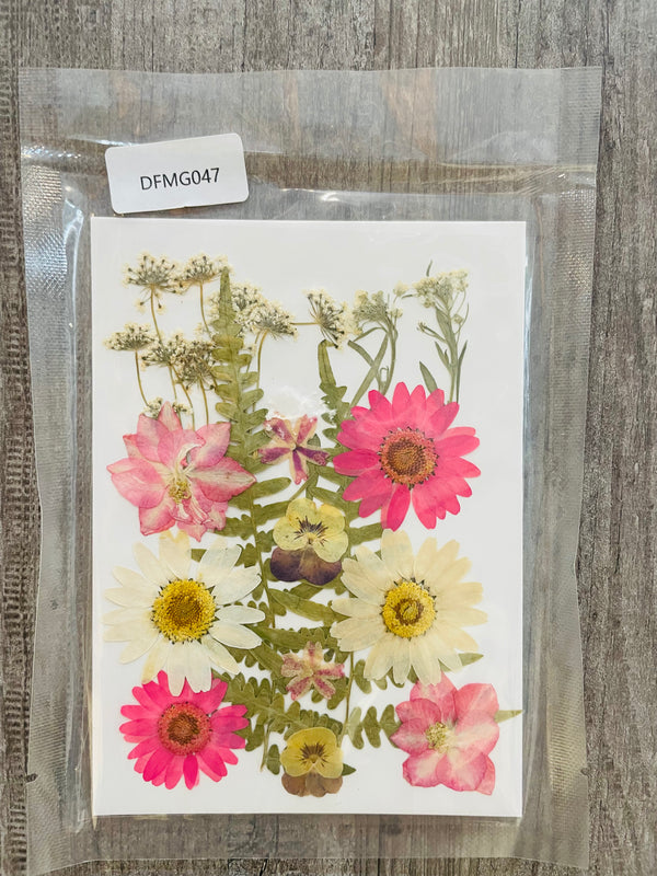 Pressed Dry Flower Sheet : Summer