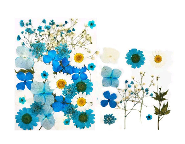 Pressed Dry Flower Sheets : Blue Forest