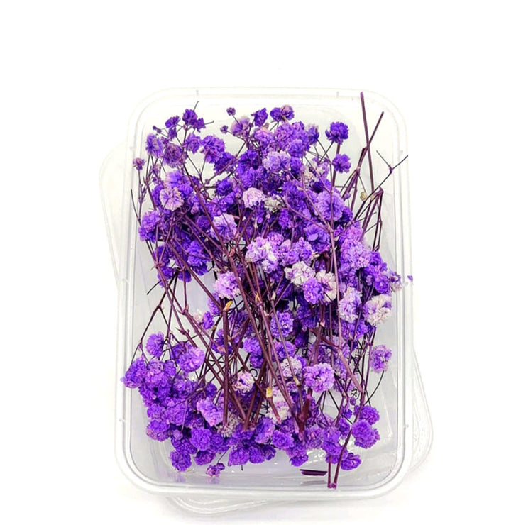 Dried Gypsy Flower Box : Ombré Purple – Luxury Deco