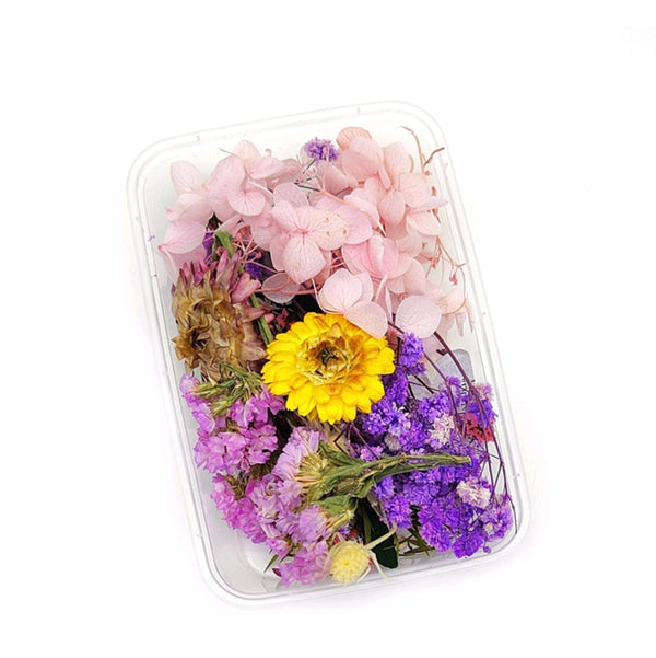 Dry Flower Box : Violet Blossom