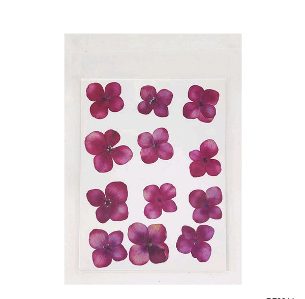 Pressed Flower Sheet : Wine