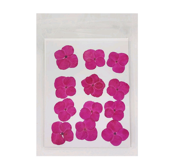 Pressed Flower Sheet : Pink