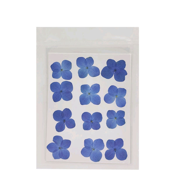 Pressed Flower Sheet : Blue