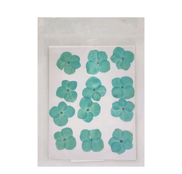 Pressed Flower Sheet : Sea Blue