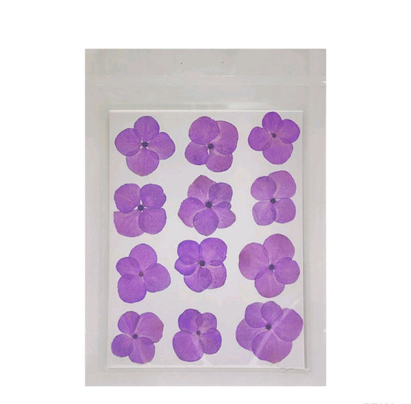 Pressed Flower Sheet : Purple