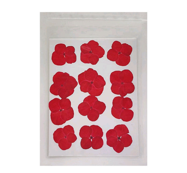 Pressed Flower Sheet : Red