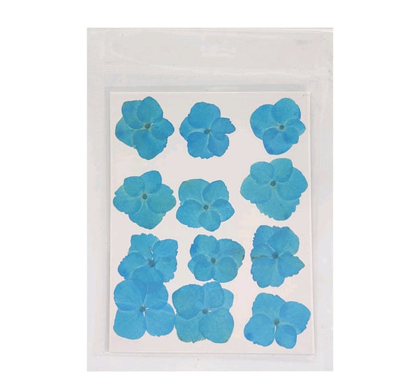 Pressed Flower Sheet : Sky Blue