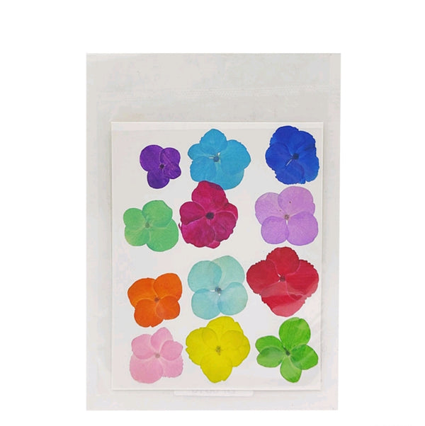 Pressed Flower Sheet : Multi