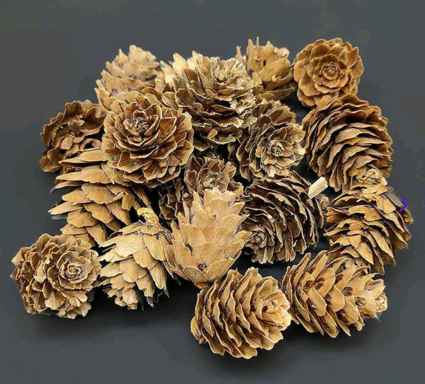 Wood Flower Pine Cone