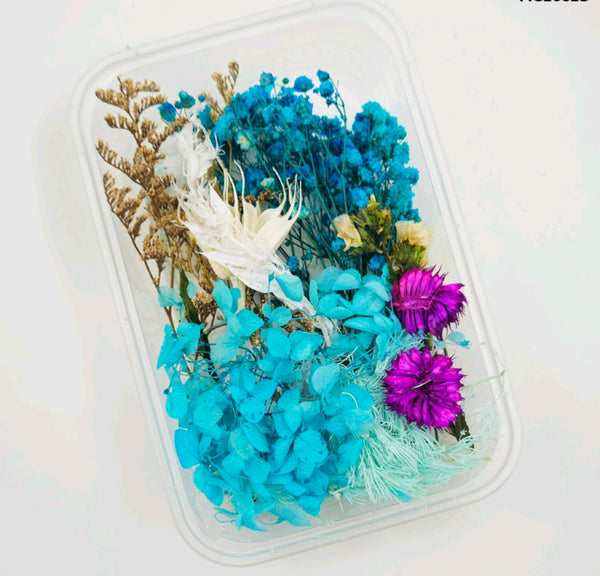 Dry Flower Box : Blue Blossom