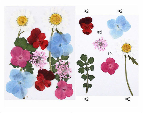 Pressed Flower Sheet : Multi