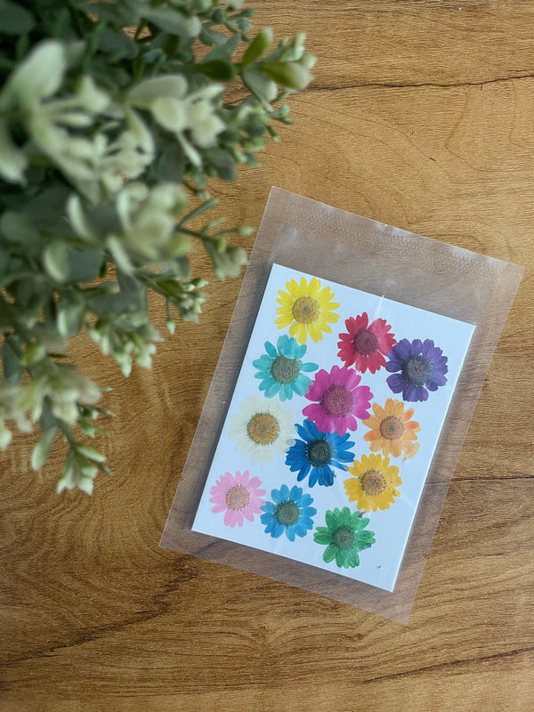 Imported Pressed Dry Flower Sheet