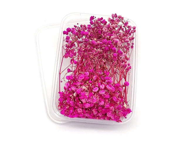 Dried Gypsy Flower Box : Ombré Pink