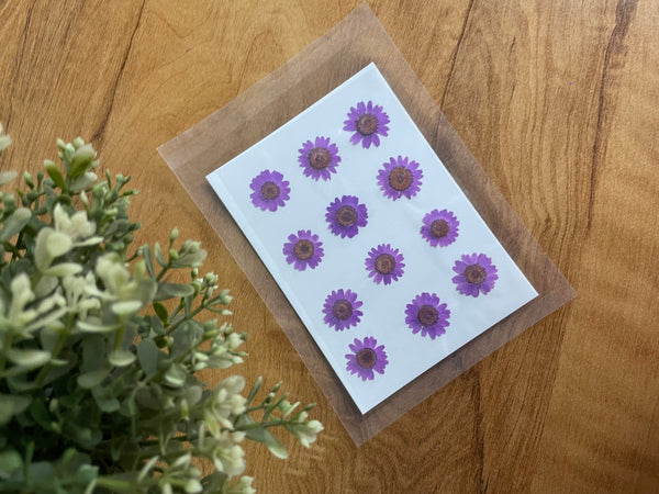 Pressed Dry Flower Sheets - Purple