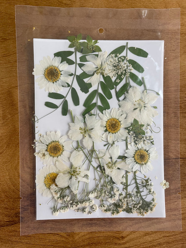 Pressed Flower Sheet : White