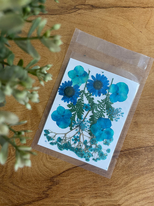 Pressed Dry Flower Sheet : Blue